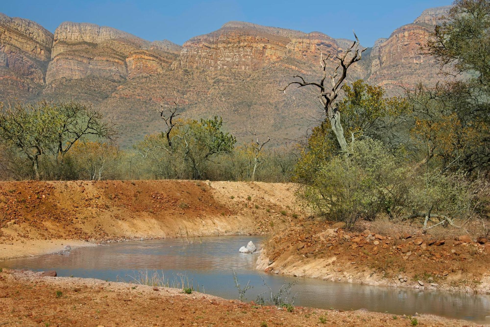 African Dream Tour Hoedspruit Exterior foto